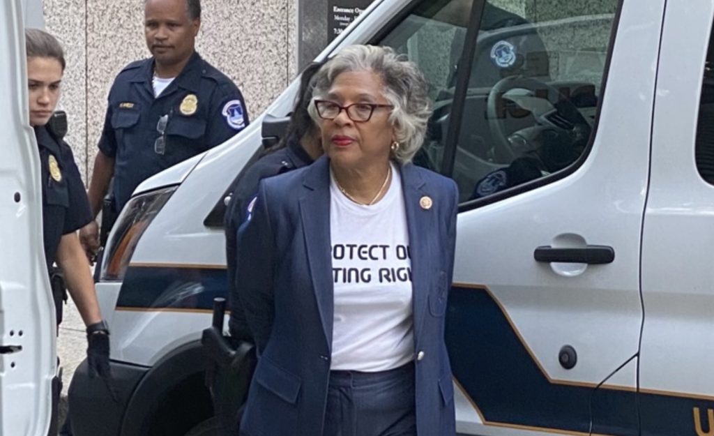 US Capitol Police Arrest A Dem Congresswoman During Voting Rights ...