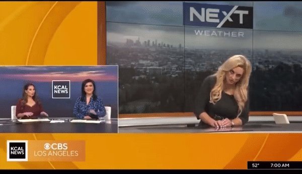 Terrifying Clip Of La Meteorologist Collapsing On Live Tv Goes Viral All American Press 8573